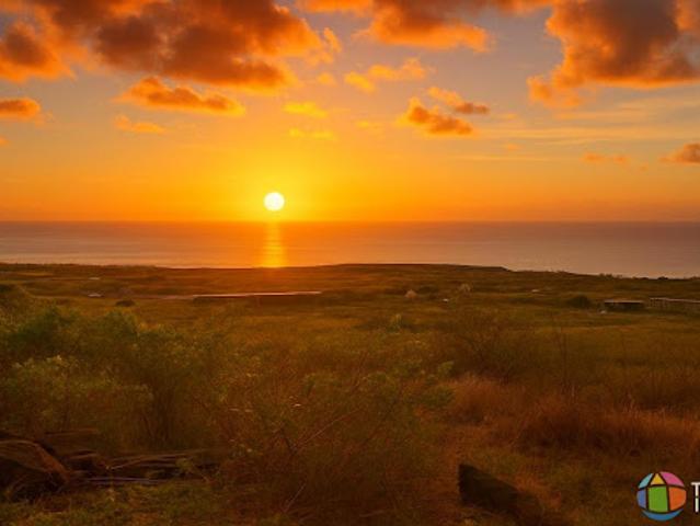 Terrain vente à La Réunion