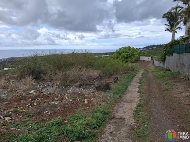 Terrain vente à La Réunion
