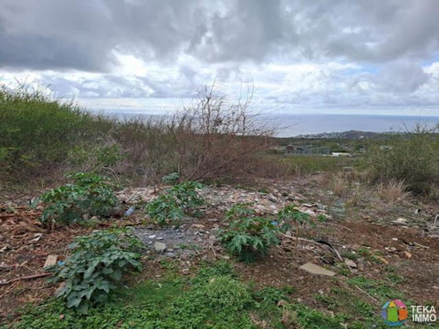 Terrain vente à La Réunion
