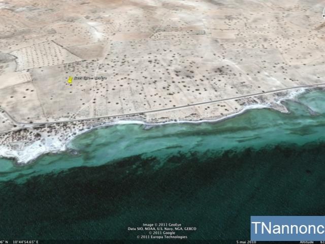 Terrain location