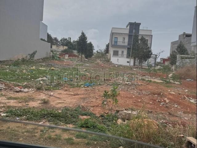 Terrain vente à Témara, Rabat-Salé-Zemmour-Zaër