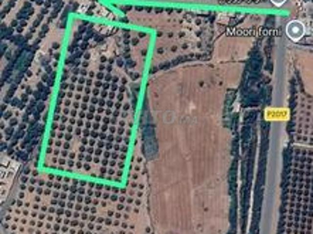Propriété vente à Al Haouz, L'Oriental