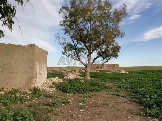 Propriété vente à Settat, Gharb-Chrarda-Beni Hssen