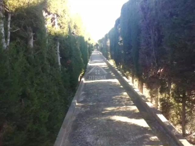 Terrain vente