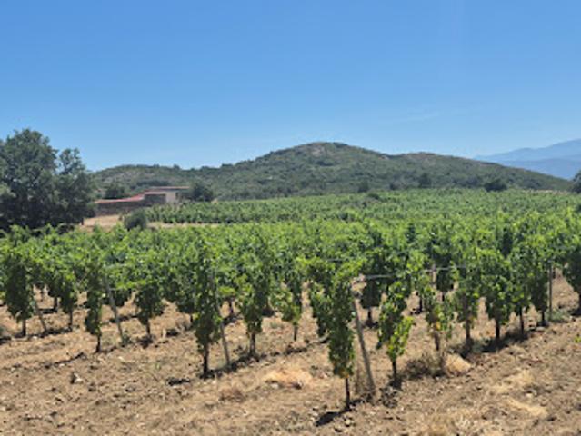 Terrain vente à Perpignan