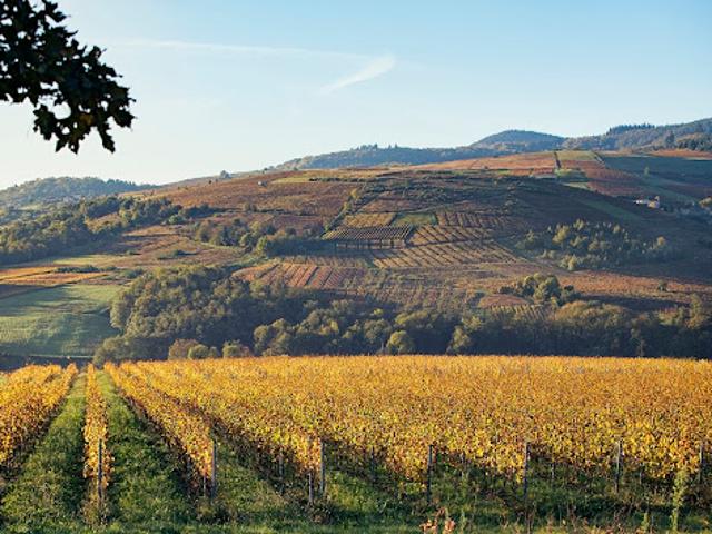 Terrain vente à Villefranche-sur-Saône, Rhône