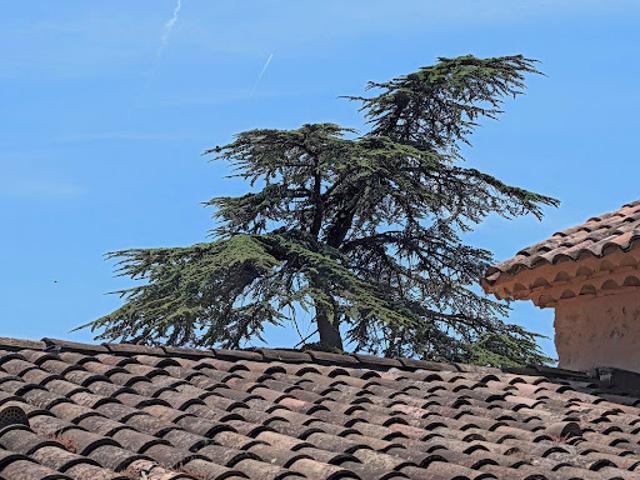 Terrain vente à Arrondissement de Draguignan, Lorgues