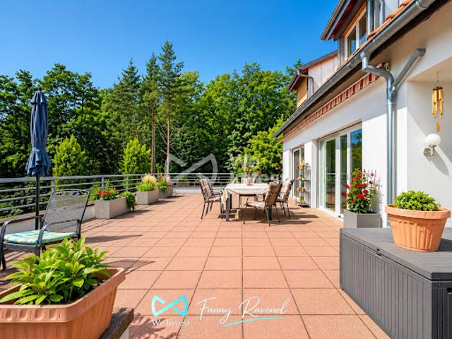 Villa vente à Colmar-Ribeauvillé, Ammerschwihr