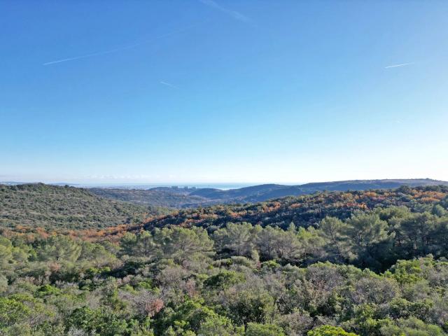 Maison vente à Grasse, Roquefort-les-pins
