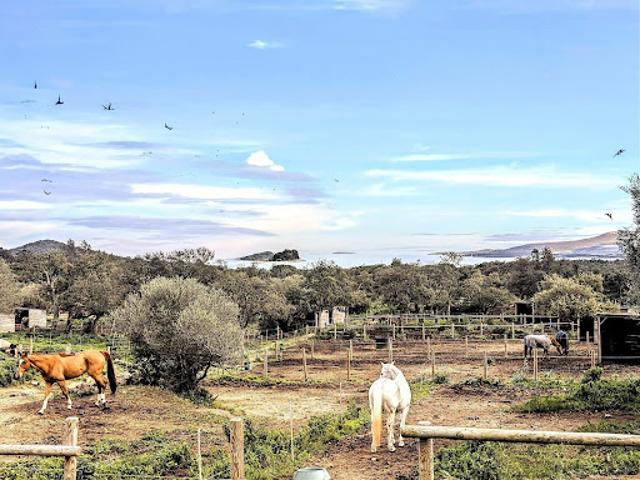 Villa vente à Sartène, Lecci