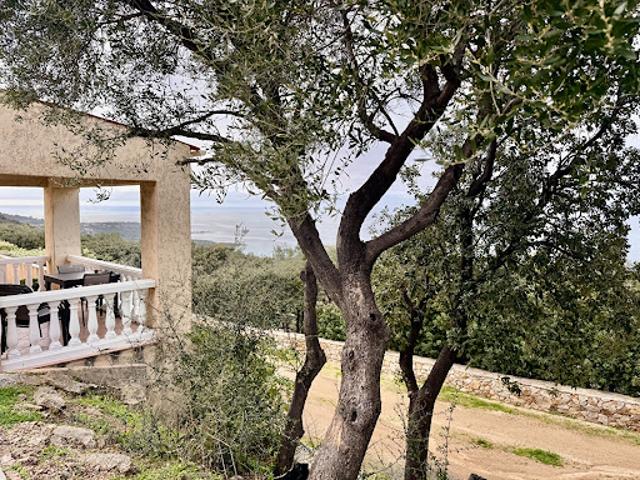 Villa vente à Calvi, Corbara
