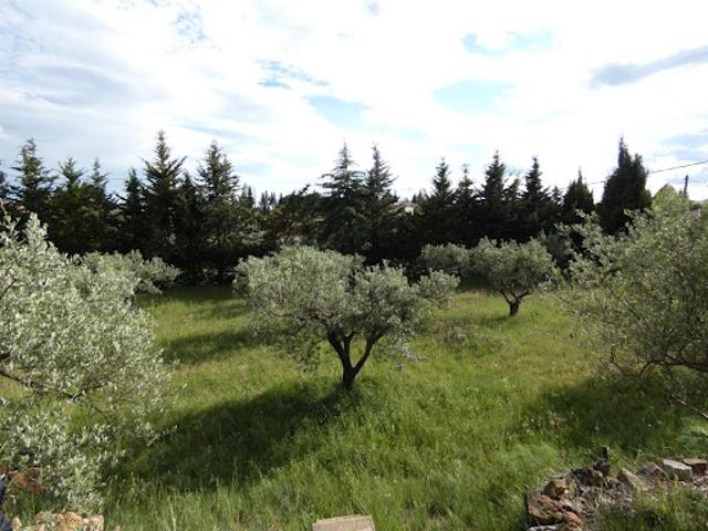Villa vente à Brignoles, Aups