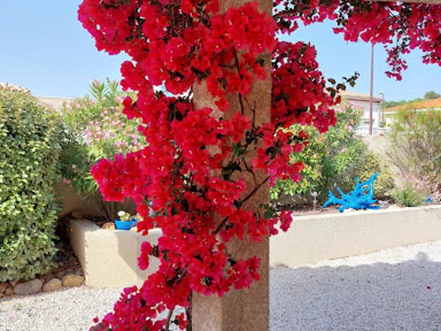 Villa vente à Narbonne, La Palme