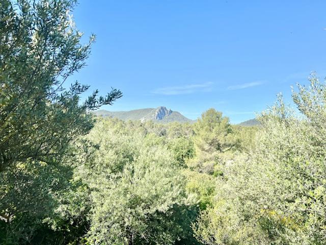 Villa vente à Brignoles