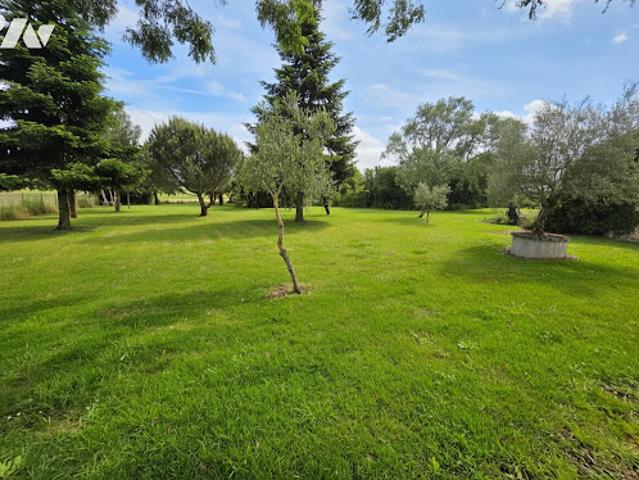 Villa vente à Tours, Monnaie