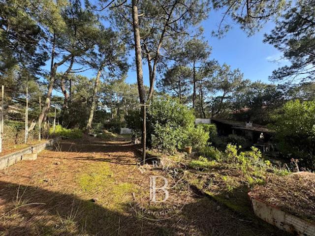Villa vente à Les Allées Forestières, Lège-Cap-Ferret