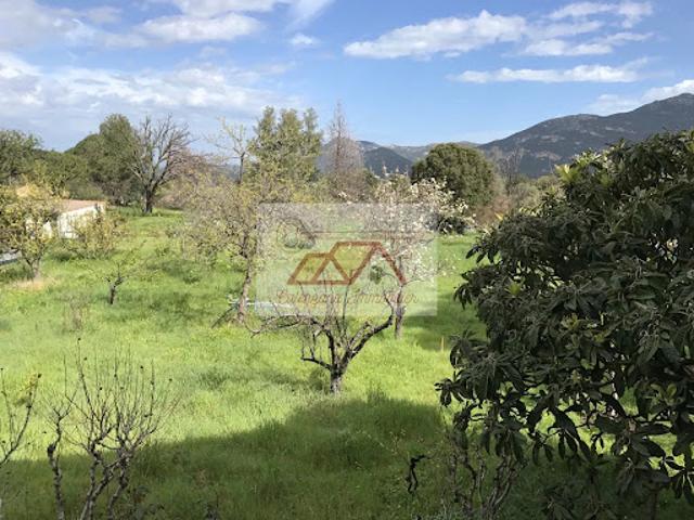 Villa vente à Calvi