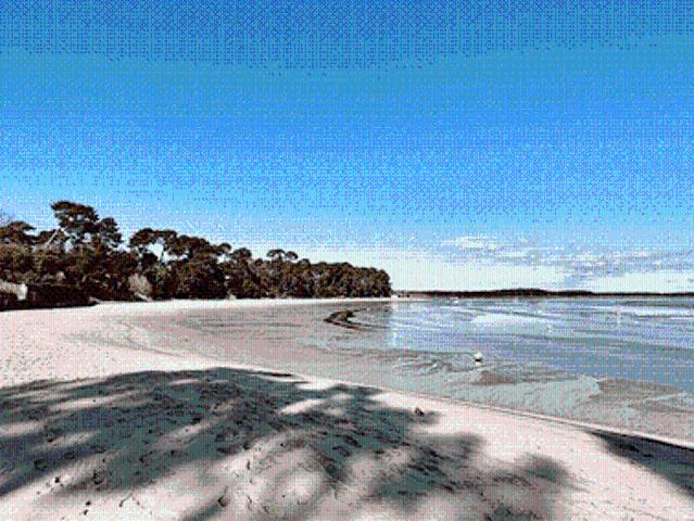 Villa vente à Arcachon, Lège-cap-ferret
