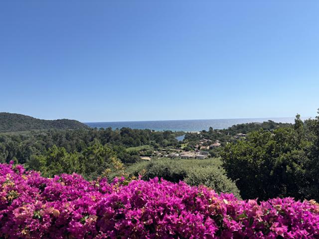 Villa vente à Sartène, Zonza