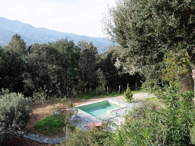 Villa vente à Calvi, Poggio-d'oletta