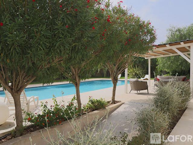 Villa vente à Sartène, Lecci