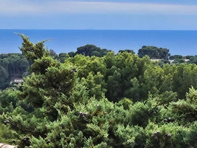 Villa vente à Ceyreste