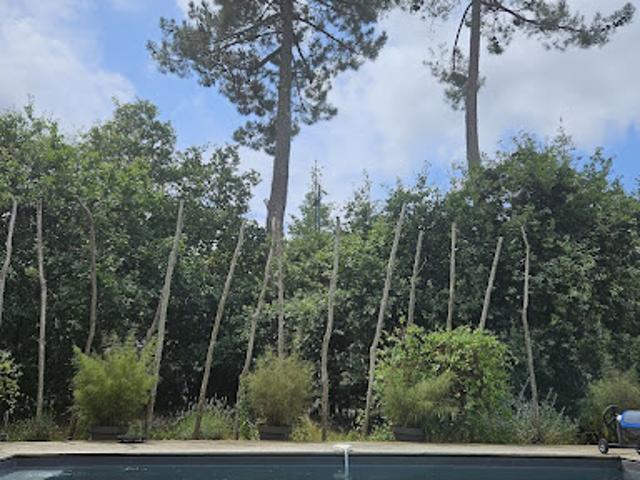 Villa vente à Arcachon, Lège-cap-ferret