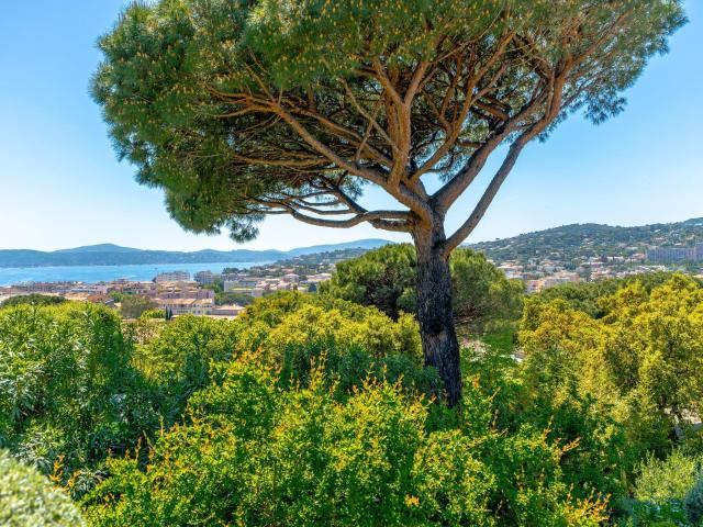 Maison vente à Arrondissement de Draguignan, Sainte-maxime