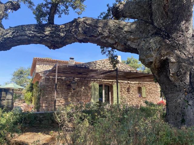 Maison vente à Arrondissement de Draguignan, Roquebrune-sur-argens