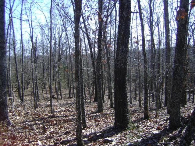 Land for sale in Ark