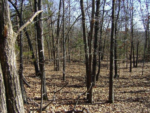 Land for sale in Ark