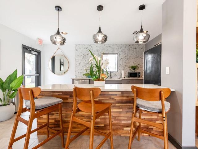 Apartment for rent in Winter Park, Florida