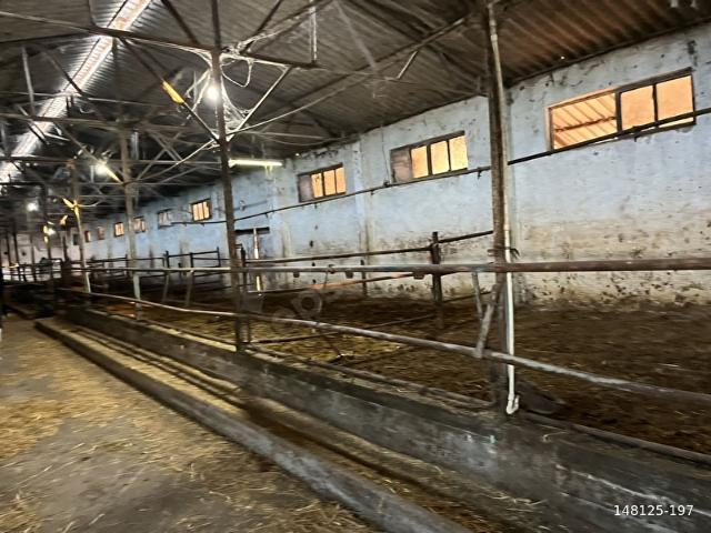 Hacıveli Oba, Gönen içerisinde satılık Fabrika