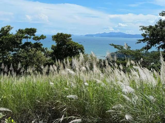 Terreno venta en Vera Cruz, Arraiján