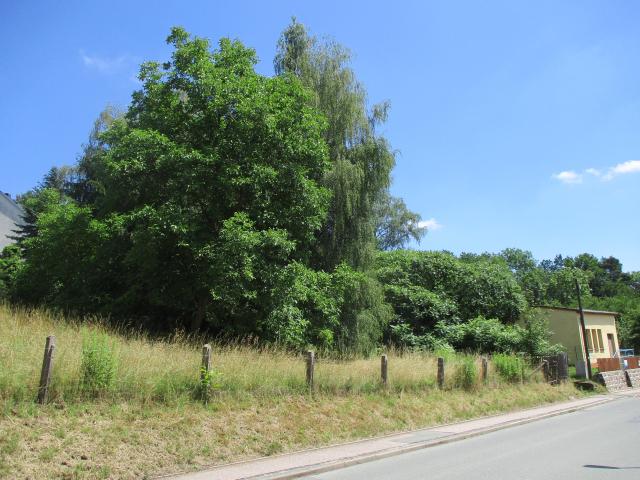 Erdgeschosswohnung mieten in Hohenstein-Ernstthal, Sachsen