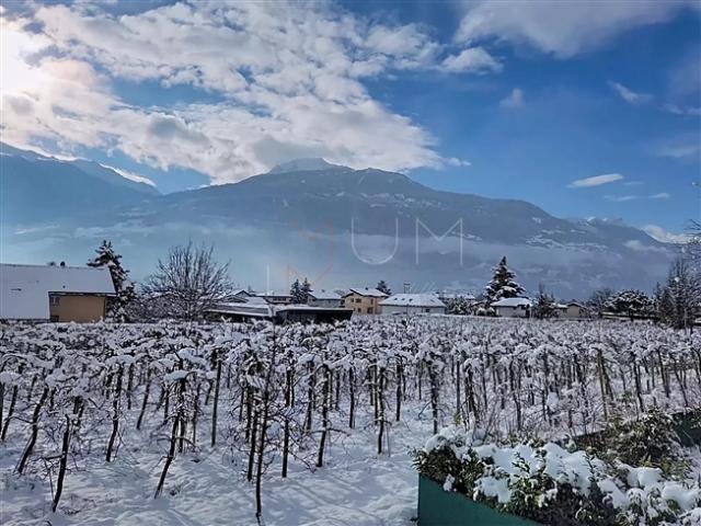 Einfamilienhaus kaufen in Conthey, Wallis
