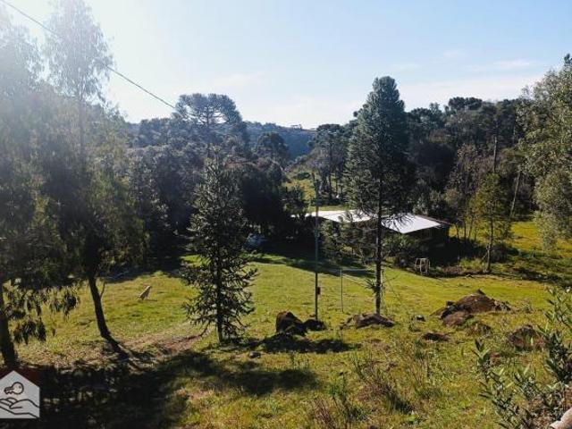 Sítio e chácara venda em Região Geográfica Imediata de Caxias do Sul, Caxias do Sul