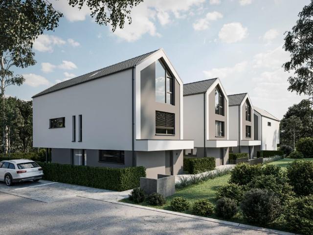 Immobilie kaufen in Biel-Benken, Basel-Landschaft