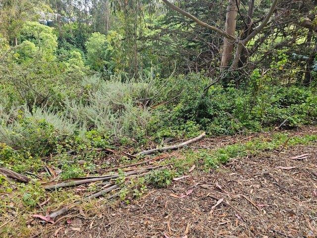 Land for sale in San Mateo, California