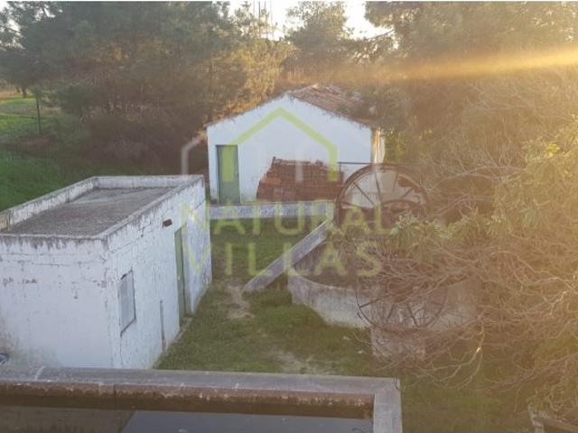 Quinta venda em Igreja, Pechão