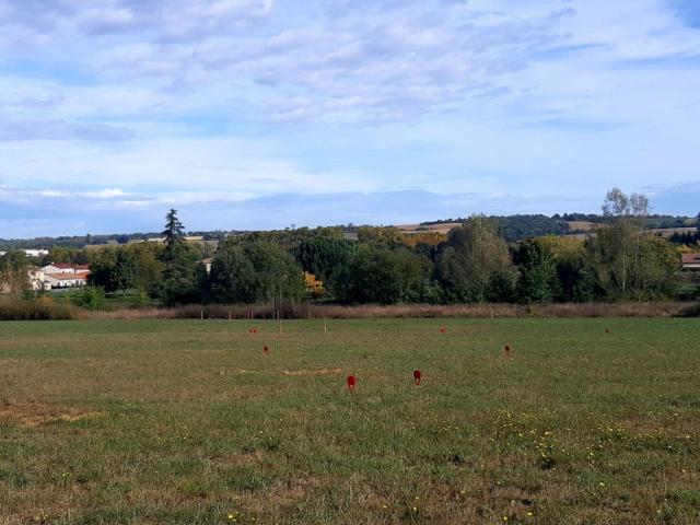 Terrain vente à Toulouse, Verfeil