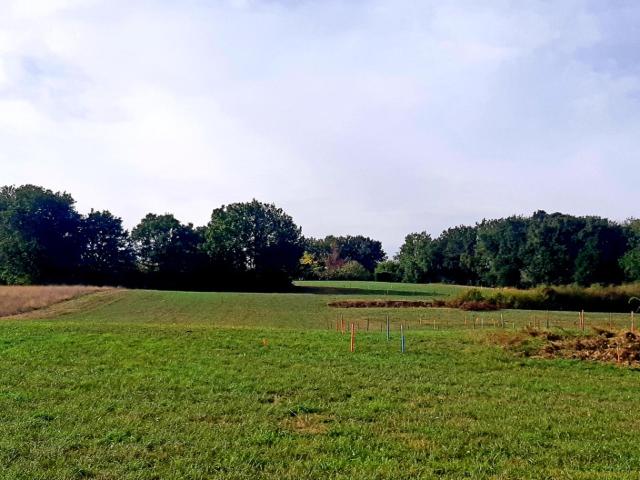 Terrain vente à Toulouse, Verfeil
