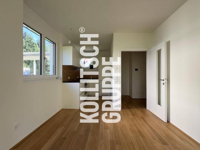 Apartment mieten in Klagenfurt, Kärnten