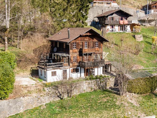 Haus kaufen in Gryon, Waadt
