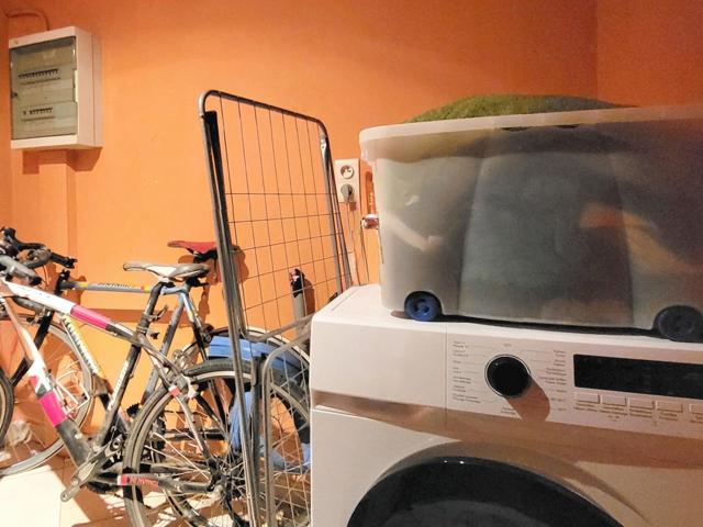 Appartement location à Zomergem, Oost-Vlaanderen