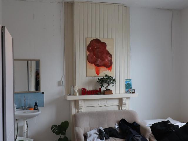 Appartement te huur in Maastricht, Wyckerpoort