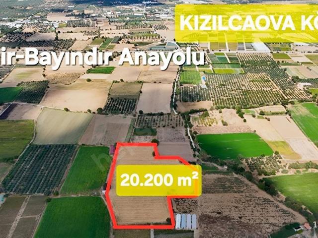 Kızılcaova Mahallesi, Bayındır içerisinde satılık Arsa
