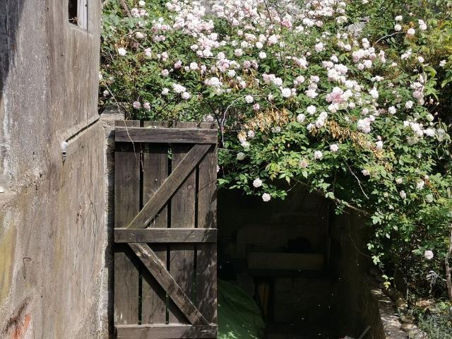 Casa alugar em Porto, Cedofeita