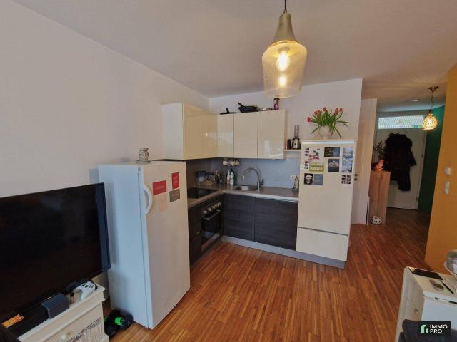 Apartment kaufen in Ries, Gersdorf-Feistritz