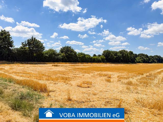 Landwirtschaft kaufen in Lich-Steinstraß, Jülich